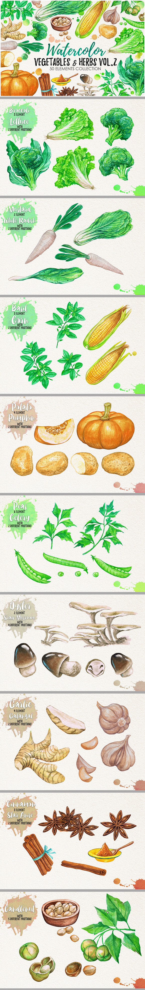 Watercolor Vegetables, Herbs, Green in Illustrations - product preview 10