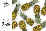 Pineapple stock photo bundle