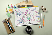 Lavender watercolor clipart flower