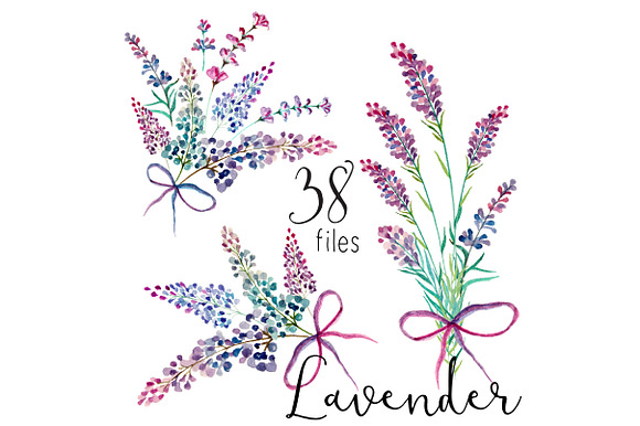 Lavender watercolor clipart flower in Illustrations - product preview 2