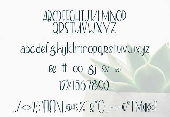 Stella Font in Scrapbooking Fonts - product preview 1