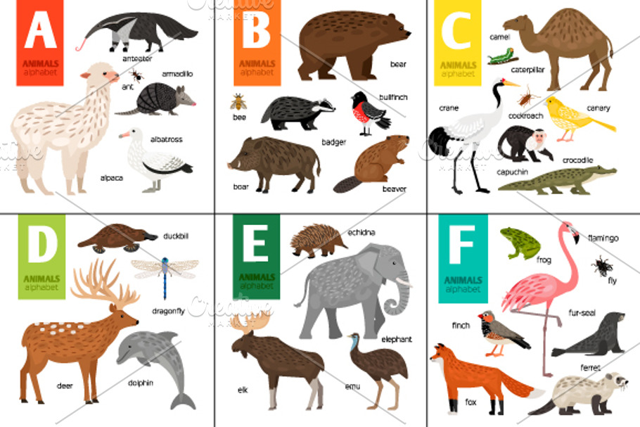 Alphabet with Animals
