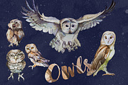 Watercolor Owls Clipart Set