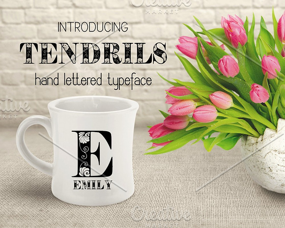 Tendrils Font in Display Fonts - product preview 1