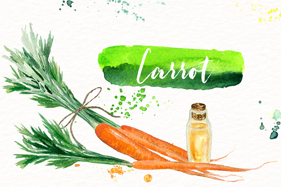 Vegetables. Watercolor clipart. in Illustrations - product preview 8