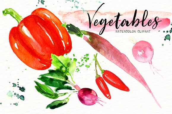 Vegetables. Watercolor clipart. in Illustrations - product preview 2