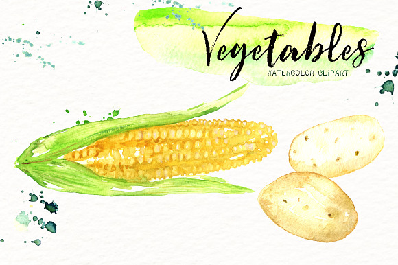 Vegetables. Watercolor clipart. in Illustrations - product preview 4