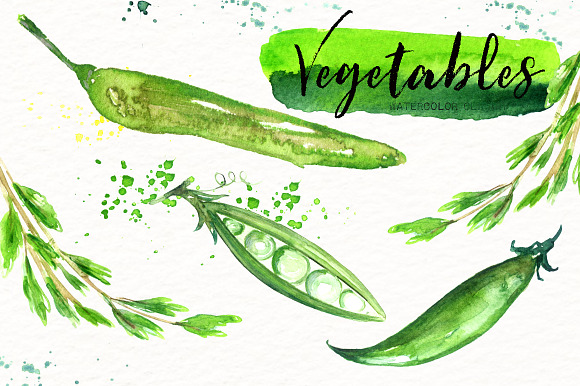 Vegetables. Watercolor clipart. in Illustrations - product preview 9