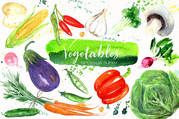 Vegetables. Watercolor clipart. in Illustrations - product preview 10