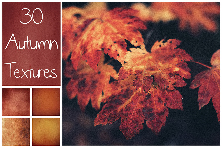 30 Autumn Textures