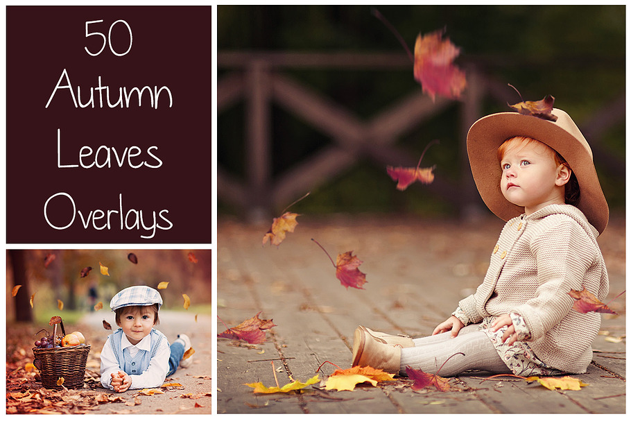 50+ Autumn Leaves Overlays