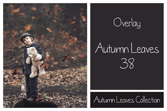 50+ Autumn Leaves Overlays in Objects - product preview 6