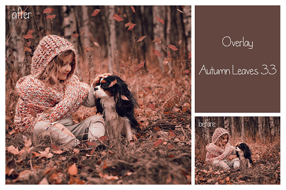50+ Autumn Leaves Overlays in Objects - product preview 8