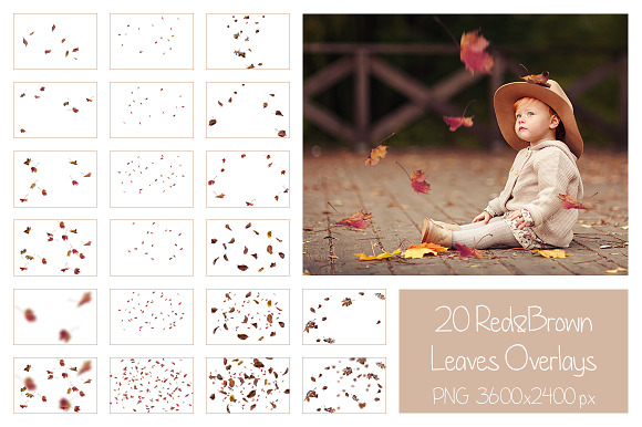 50+ Autumn Leaves Overlays in Objects - product preview 11