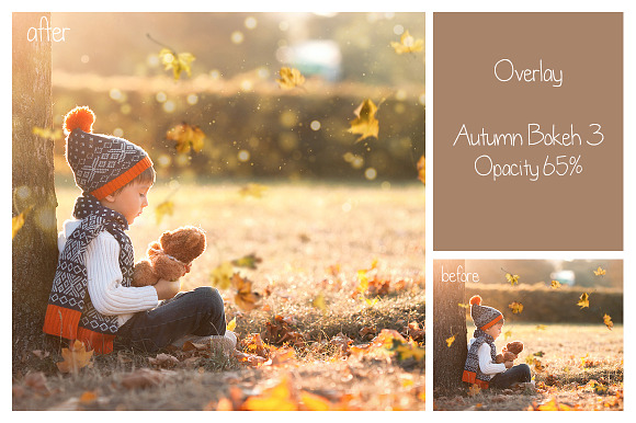 30 Autumn Bokeh Overlays in Objects - product preview 1
