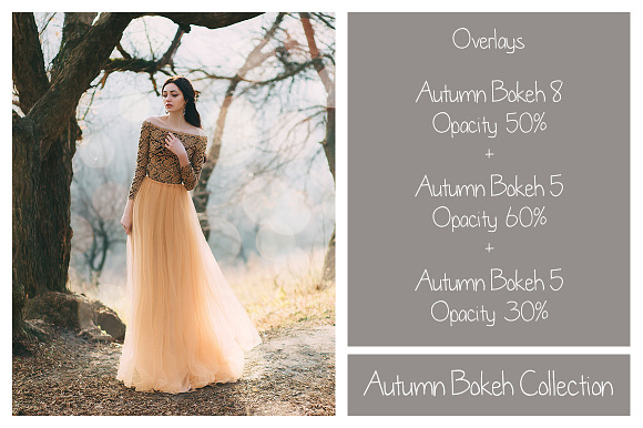 30 Autumn Bokeh Overlays in Objects - product preview 8