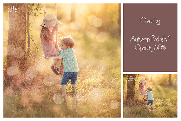 30 Autumn Bokeh Overlays in Objects - product preview 11