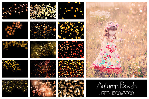 30 Autumn Bokeh Overlays in Objects - product preview 13