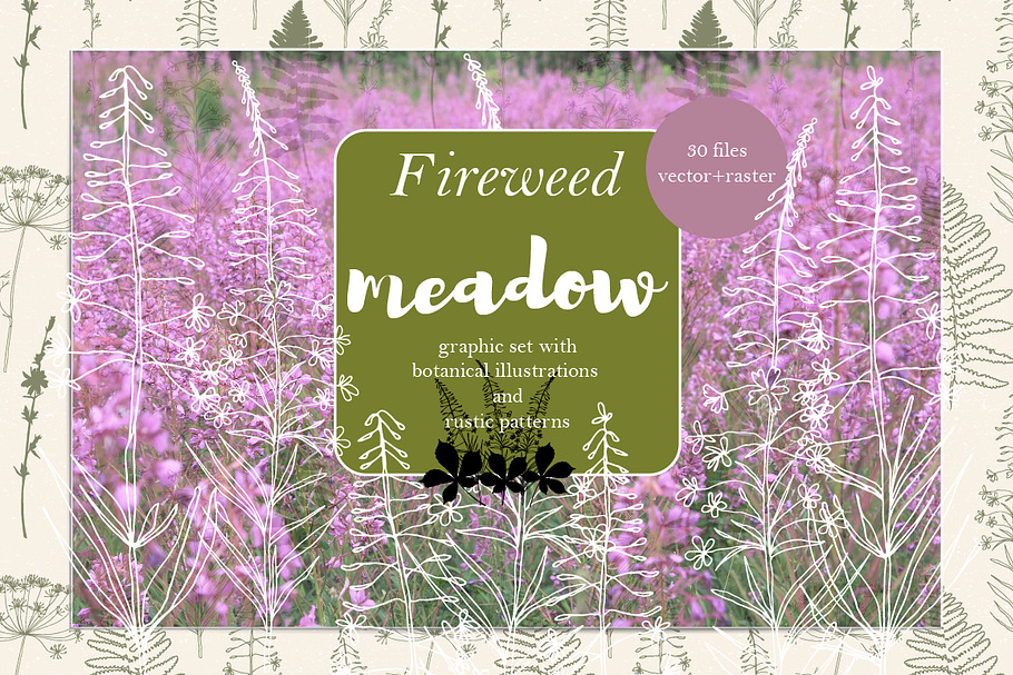 Meadow plants and flowers/pattern