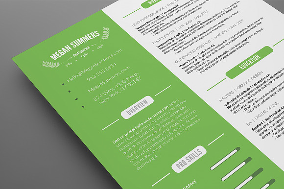 Clean Resume Template PSD in Resume Templates - product preview 3