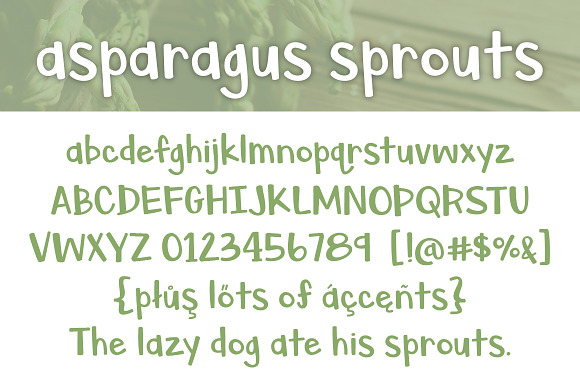 Asparagus Sprouts in Script Fonts - product preview 1