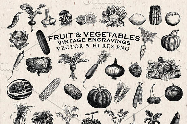 Fruit & Vegetables Engravings Vector
