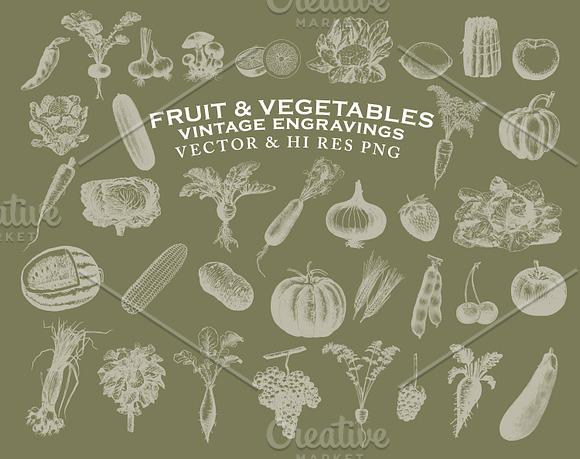 Fruit & Vegetables Engravings Vector in Illustrations - product preview 1