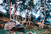 Stone in mountain forest illustration background