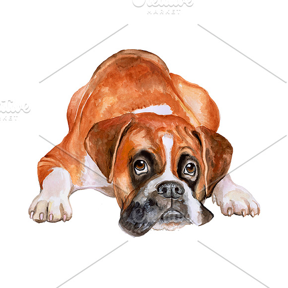 Watercolor Dogs set. Big Bundle in Illustrations - product preview 3