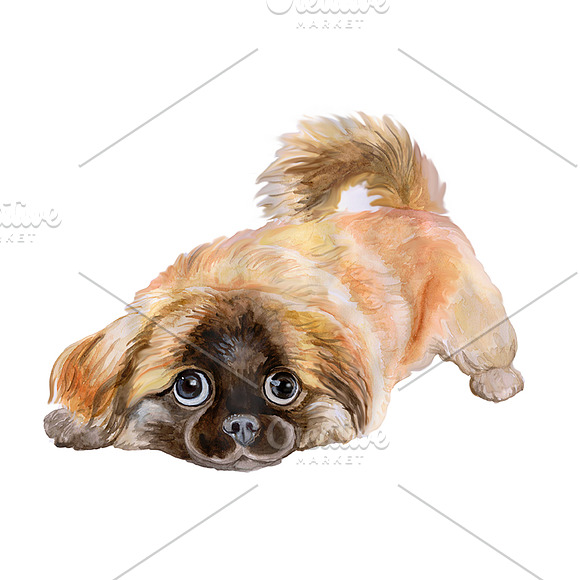 Watercolor Dogs set. Big Bundle in Illustrations - product preview 5
