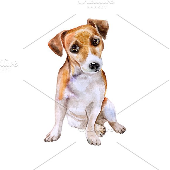 Watercolor Dogs set. Big Bundle in Illustrations - product preview 7