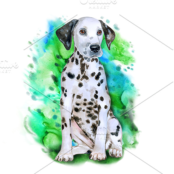 Watercolor Dogs set. Big Bundle in Illustrations - product preview 8
