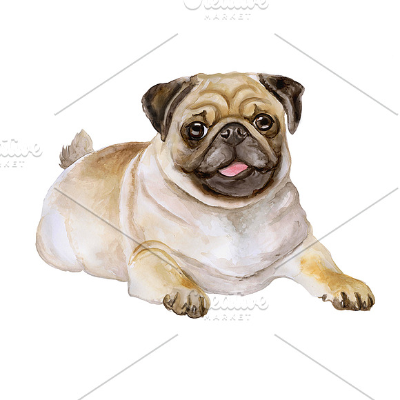 Watercolor Dogs set. Big Bundle in Illustrations - product preview 11