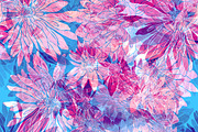 chrysanthemum seamless pattern | JPG