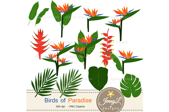 Bird of Paradise Digital Paper in Patterns - product preview 1