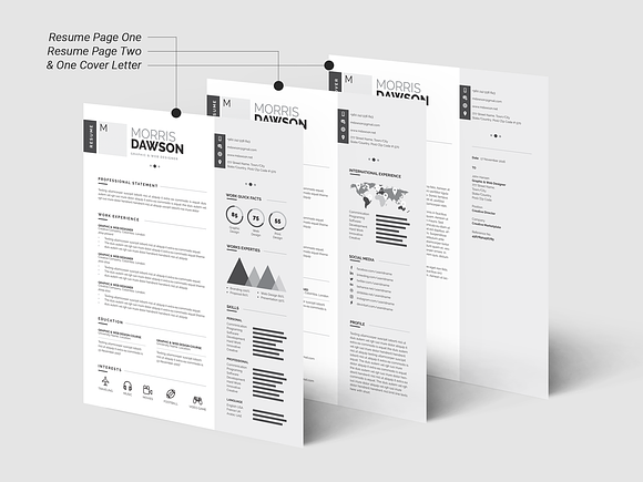 Clean Infographic Resume/CV in Resume Templates - product preview 1
