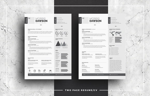 Clean Infographic Resume/CV in Resume Templates - product preview 2