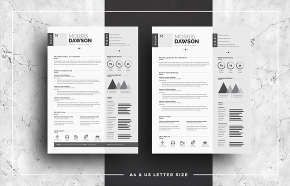 Clean Infographic Resume/CV in Resume Templates - product preview 4