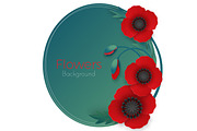 Flowers background with full blown and still blooming red poppies