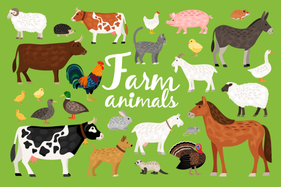 Farm Animals in Graphics - product preview 8