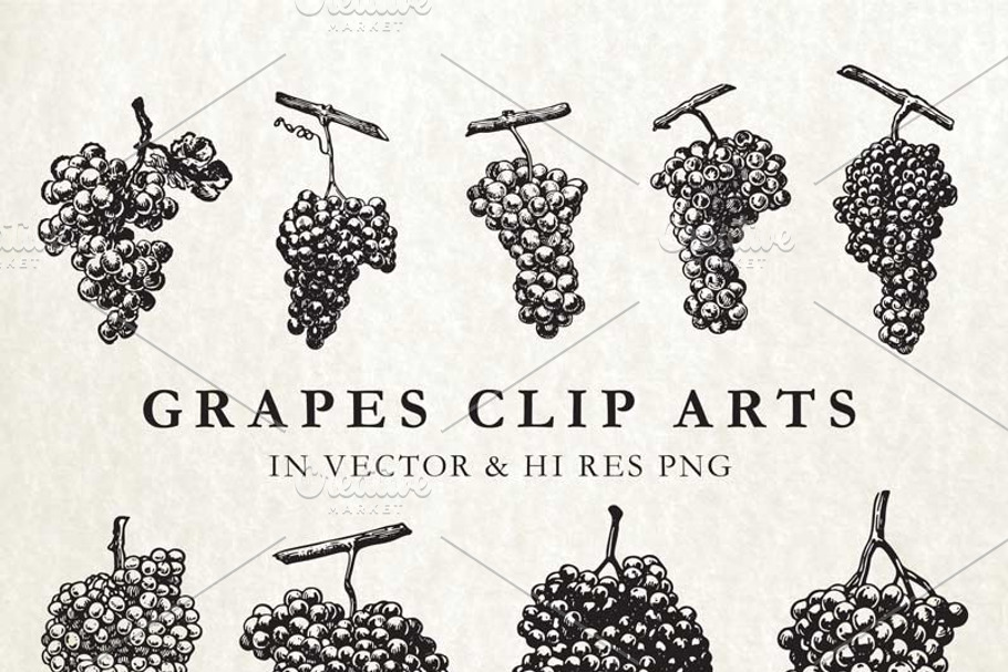 Vintage Hand Drawn Grape Vector Pack