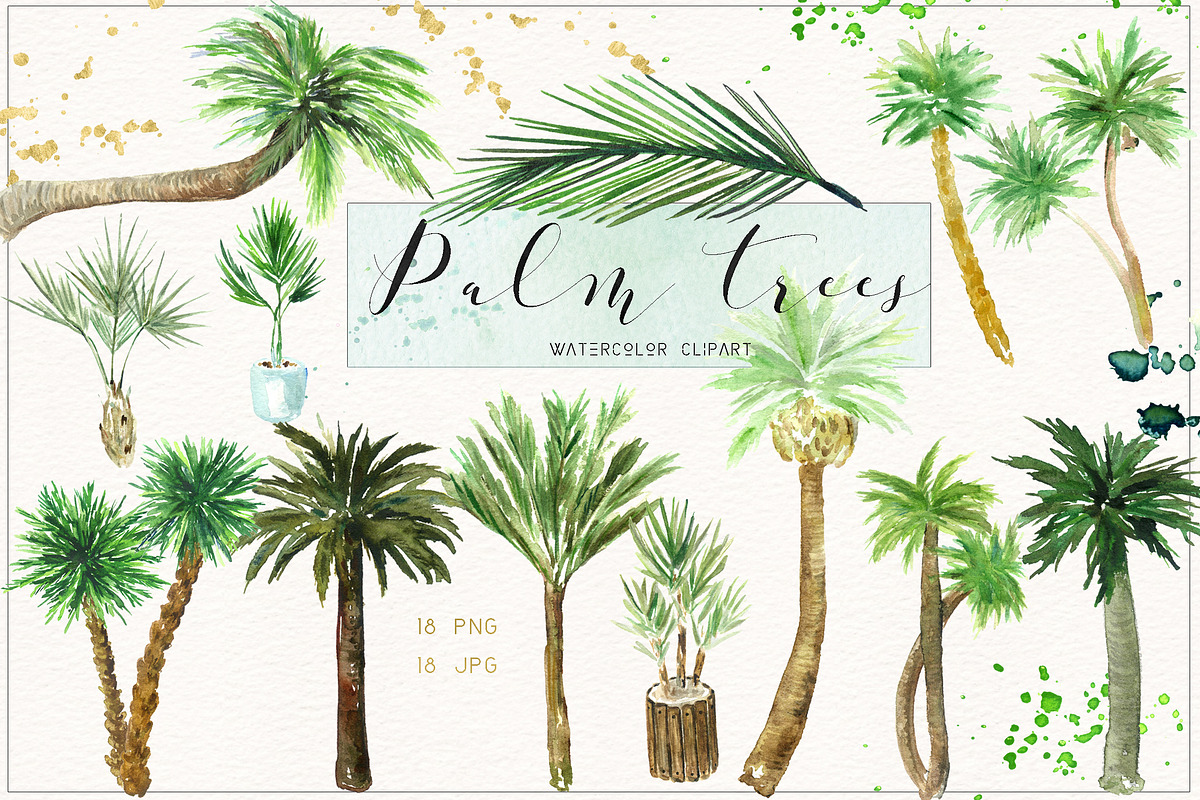 Palm tree. Watercolor clipart. in Illustrations - product preview 8