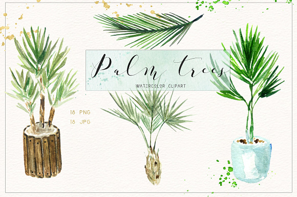 Palm tree. Watercolor clipart. in Illustrations - product preview 1
