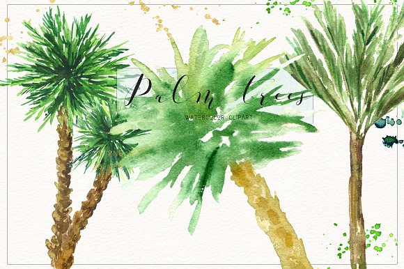 Palm tree. Watercolor clipart. in Illustrations - product preview 2