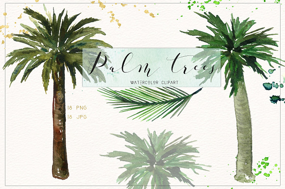 Palm tree. Watercolor clipart. in Illustrations - product preview 3
