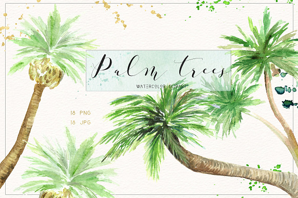 Palm tree. Watercolor clipart. in Illustrations - product preview 4