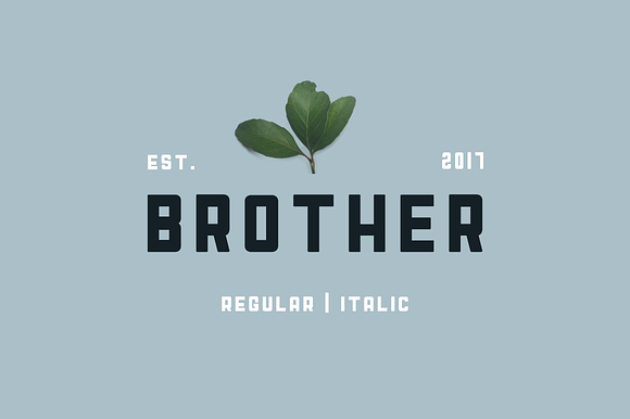 Brother - Display Font in Military Fonts - product preview 4