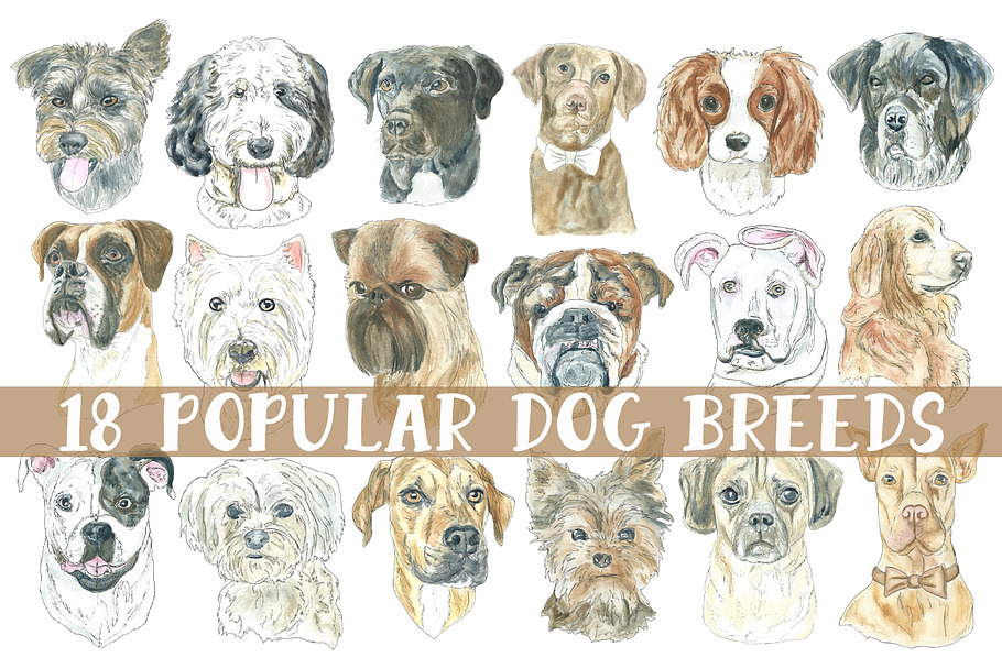 Watercolor Dog Breeds Clipart in Illustrations - product preview 8