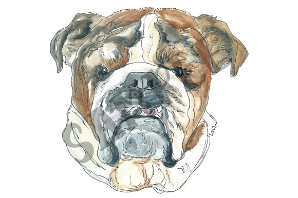 Watercolor Dog Breeds Clipart in Illustrations - product preview 1