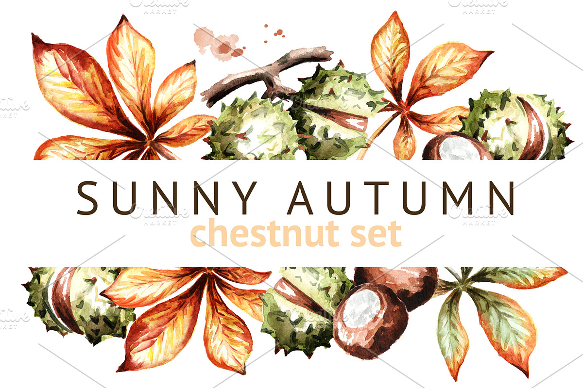 Sunny autumn. Chestnut set in Graphics - product preview 8